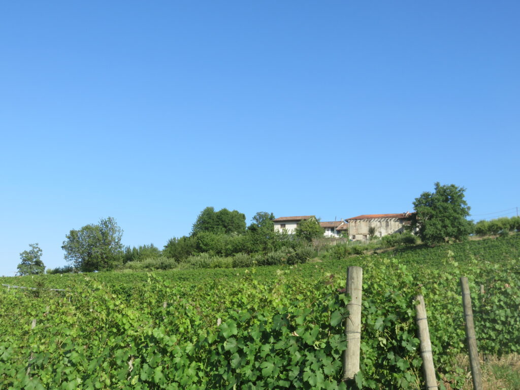 Italian Winery