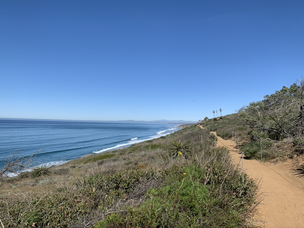 Torrey Pines State Reserve in San Diego, California