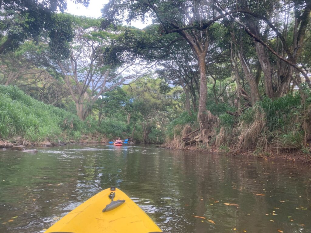 Kayaking on the Anahulu River in Haleiwa, North Shore, Oahu