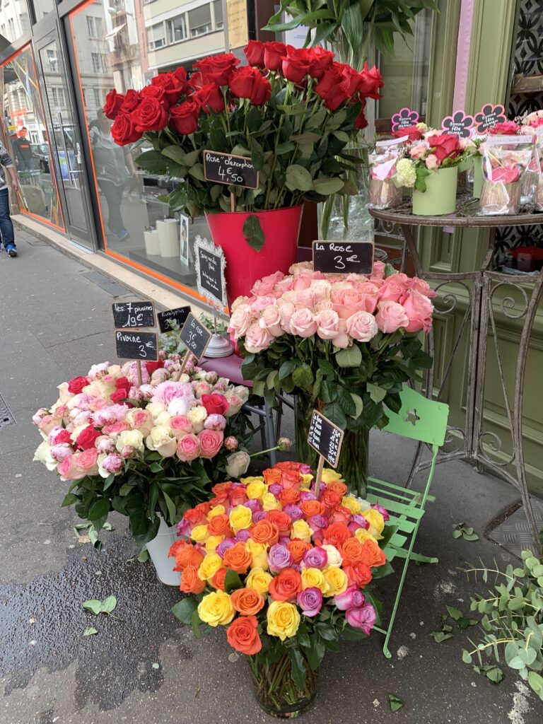 flower shop in downtown. A variety of roses in red, orange, and pink line the sidewalk in large pots.