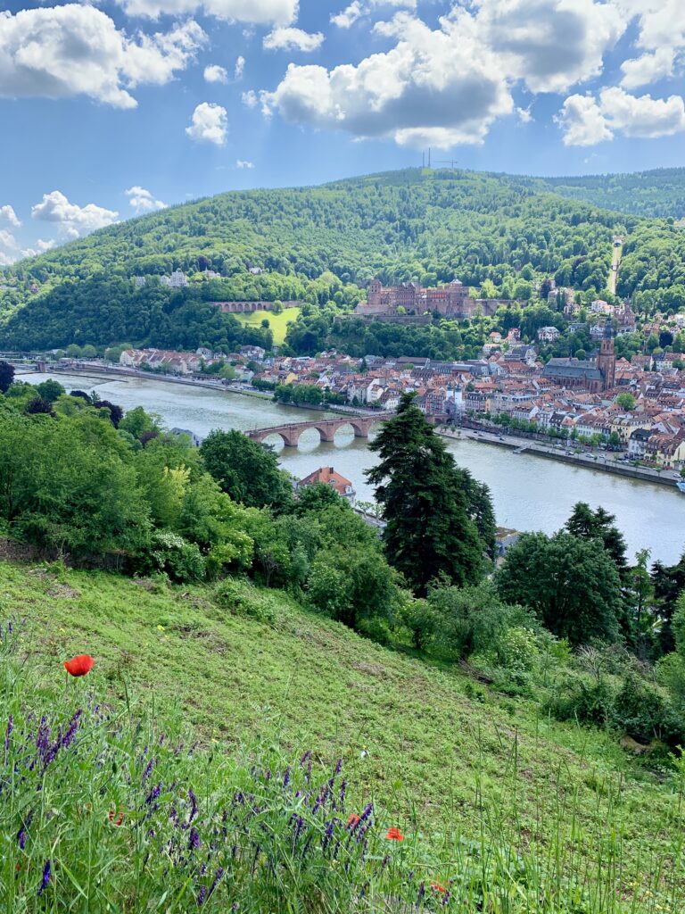 Heidelberg, Germany from across the River